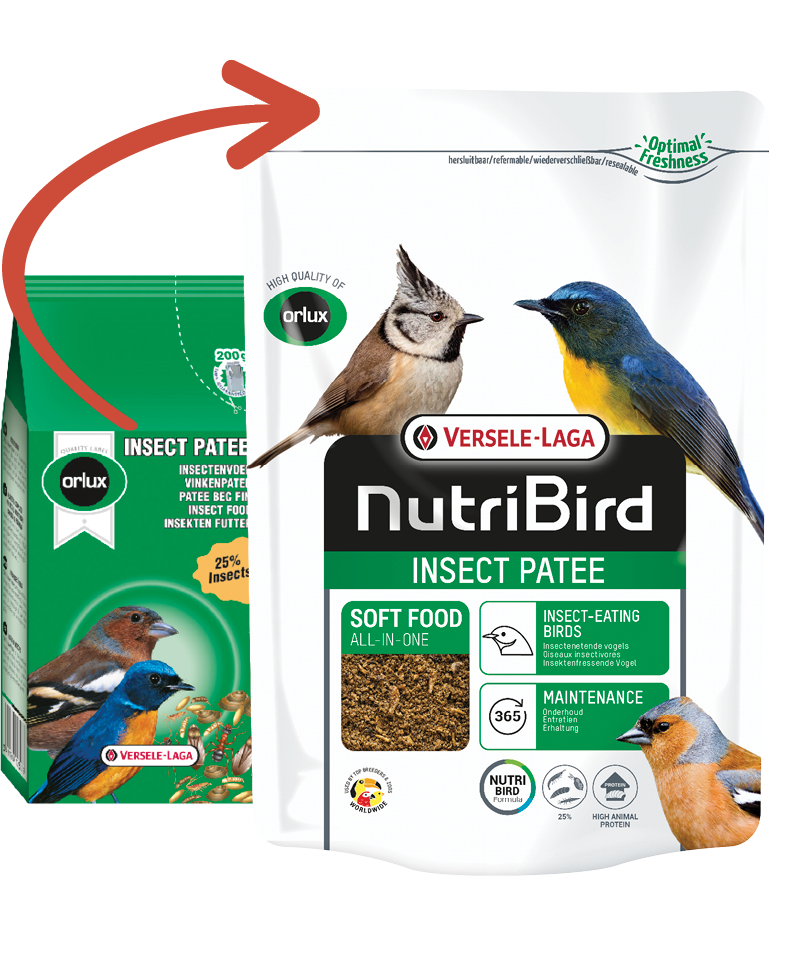 PATEE ORLUX INSECT  200g