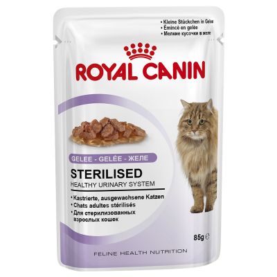 FHNW STERILIZED JELLY 85 g